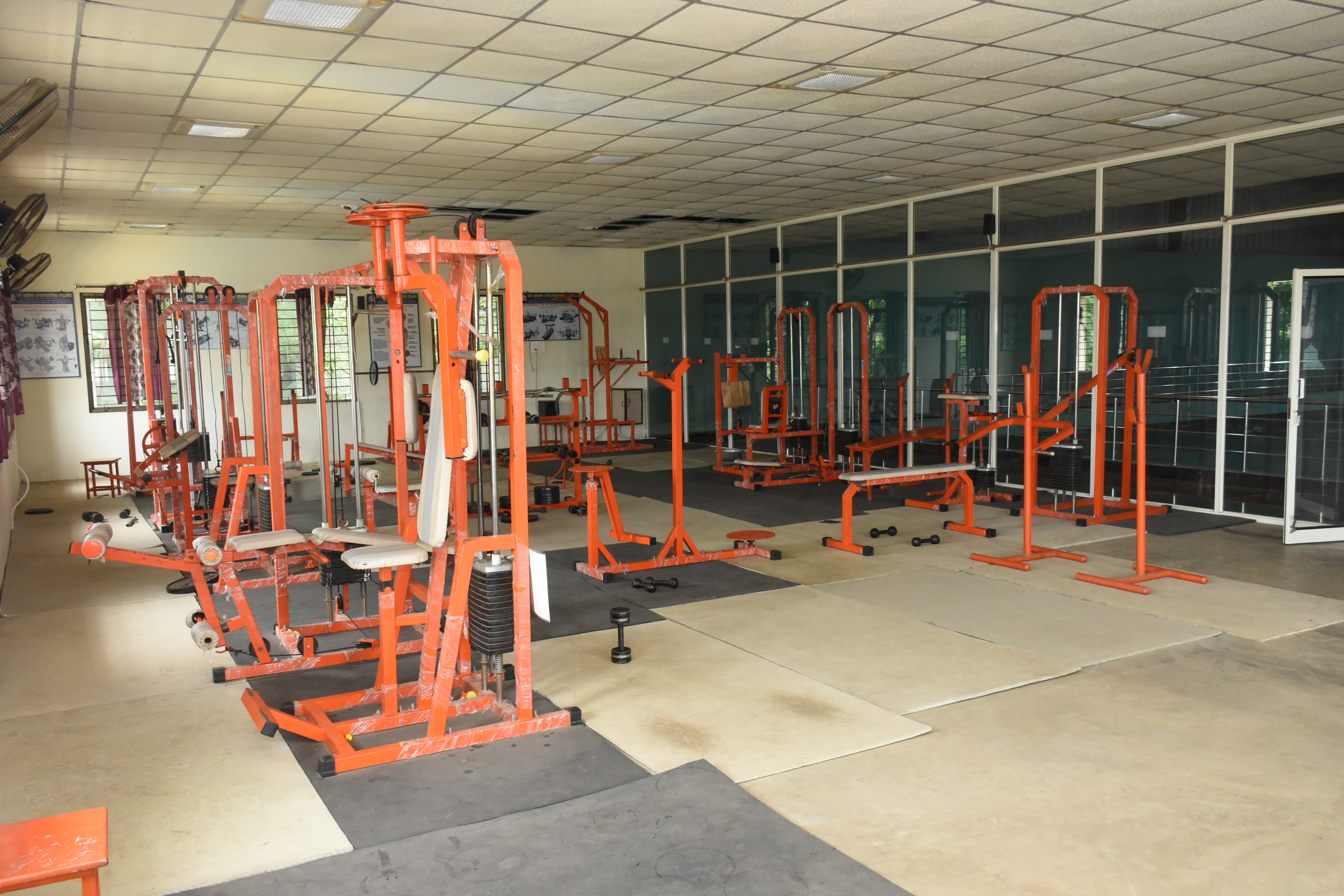 Gymnasium & Sports