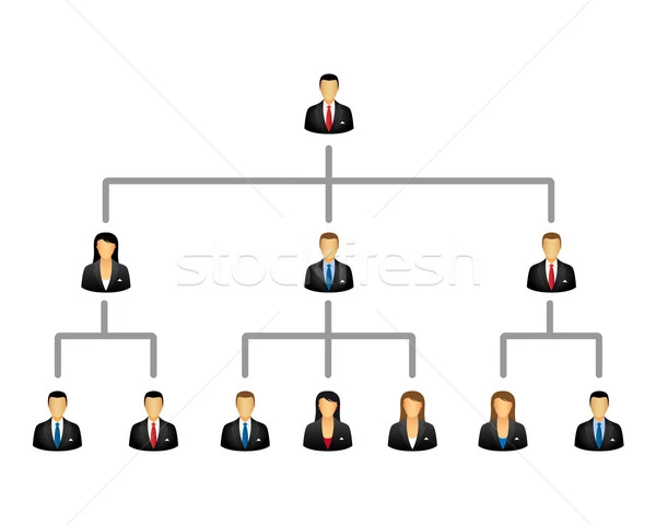 Organogram